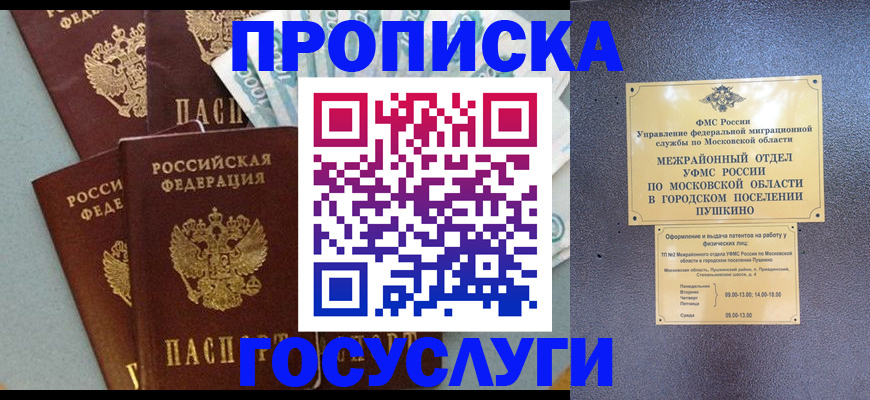 прописка гарантия в Вельске